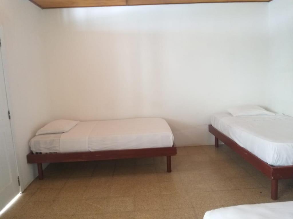 Hotel San Jacinto מראה חיצוני תמונה